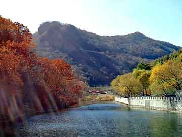 新澳天天开奖资料大全旅游团，都市yy小说排行榜